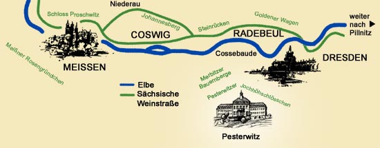 sachsen wine